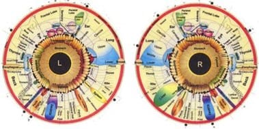 Iridology